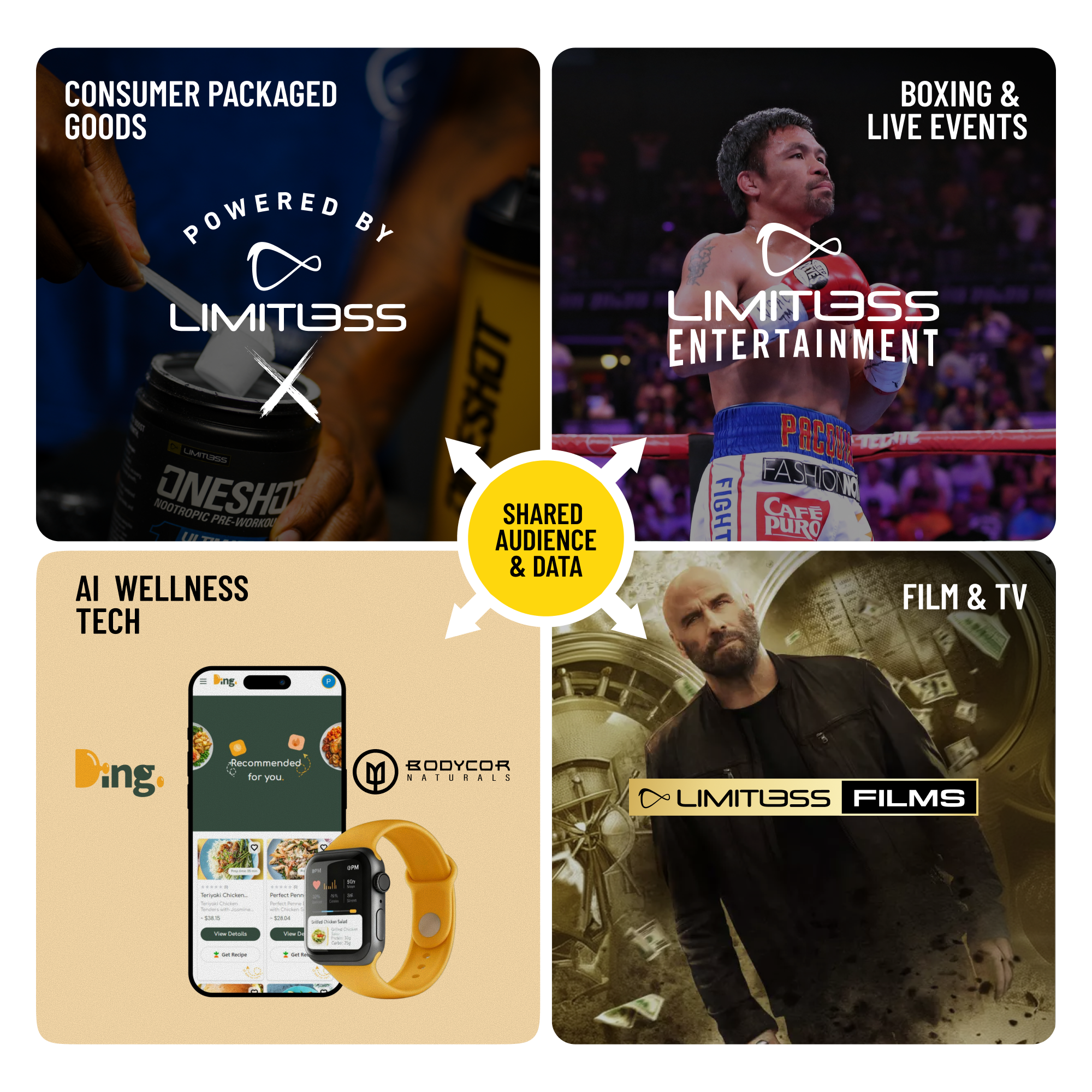 Limitless X subsidiaries: Consumer Products, AI Wellness Tech, Boxing & Live Events, Film & TV